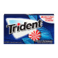 Vorschau Trident Perfect Peppermint 26,6 g