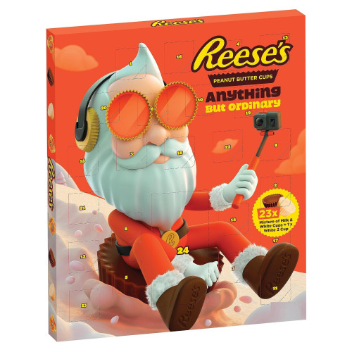 Reese´s Advent Calendar Anything But Ordinary 248 g